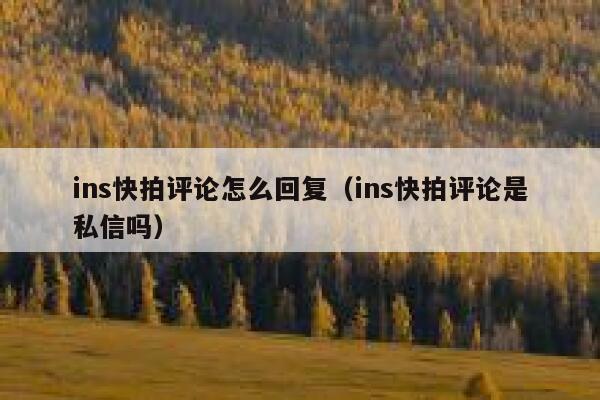ins快拍评论怎么回复（ins快拍评论是私信吗） 第1张