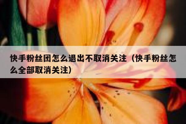 快手粉丝团怎么退出不取消关注（快手粉丝怎么全部取消关注） 第1张