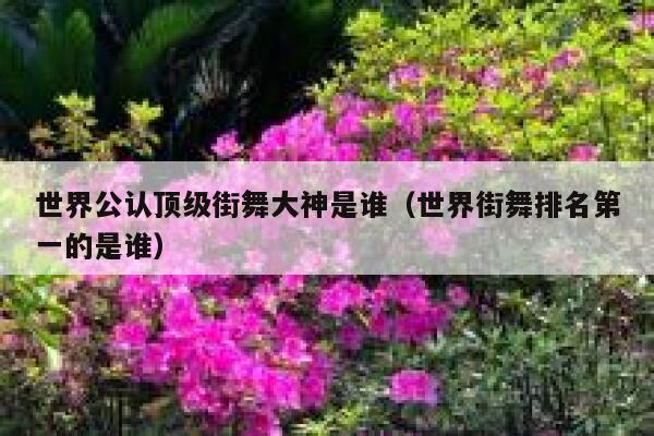 世界公认顶级街舞大神是谁（世界街舞排名第一的是谁） 第1张