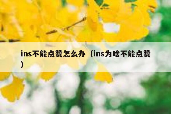 ins不能点赞怎么办(ins为啥不能点赞) 第1张 ins不能点赞怎么办(ins为啥不能点赞) 第1张