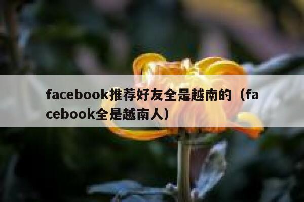facebook推荐好友全是越南的（facebook全是越南人） 第1张