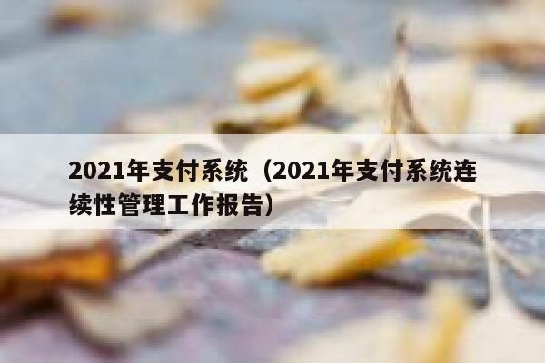 2021年支付系统（2021年支付系统连续性管理工作报告） 第1张