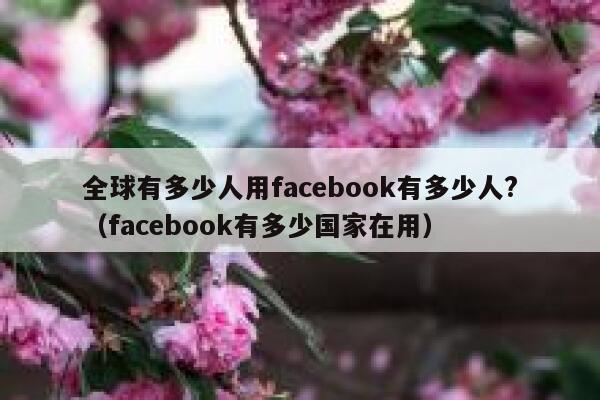 全球有多少人用facebook有多少人?（facebook有多少国家在用） 第1张