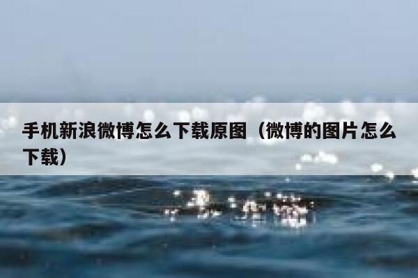 手机新浪微博怎么下载原图（微博的图片怎么下载） 第1张