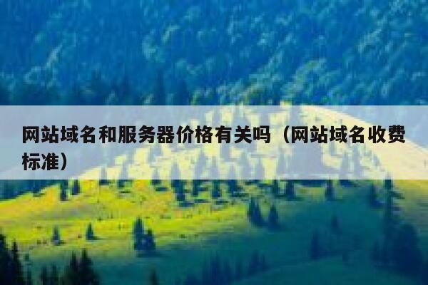 网站域名和服务器价格有关吗（网站域名收费标准） 第1张