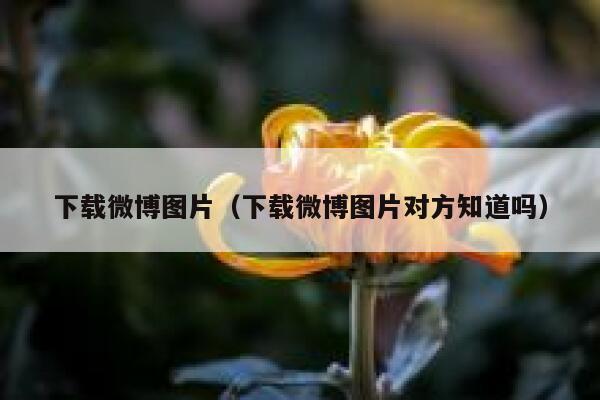 下载微博图片(下载微博图片对方知道吗) 第1张 下载微博图片(下载微博图片对方知道吗) 第1张