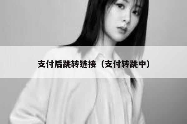 支付后跳转链接（支付转跳中） 第1张