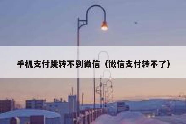 手机支付跳转不到微信(微信支付转不了) 第1张 手机支付跳转不到微信(微信支付转不了) 第1张