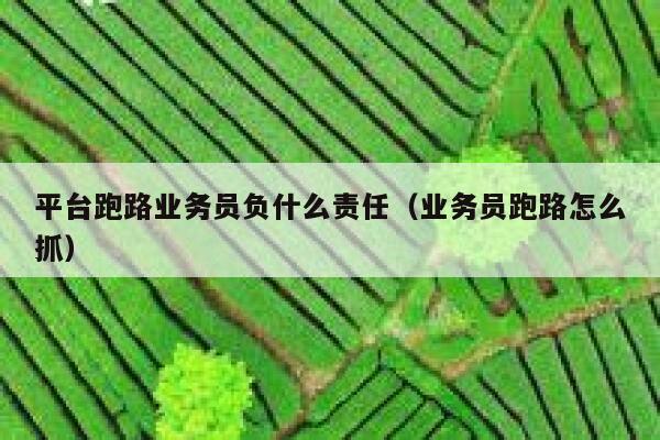 平台跑路业务员负什么责任（业务员跑路怎么抓） 第1张