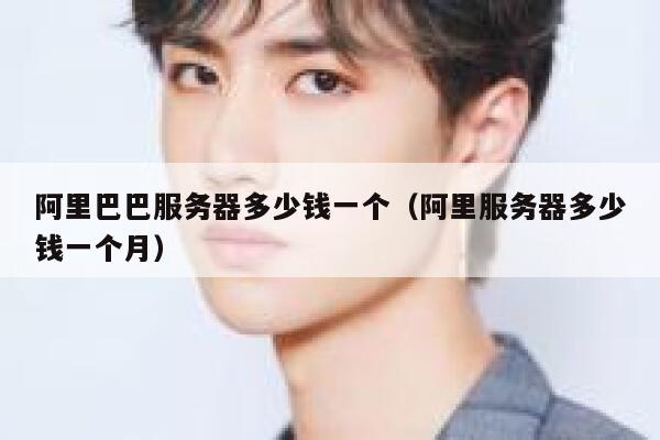 阿里巴巴服务器多少钱一个（阿里服务器多少钱一个月） 第1张