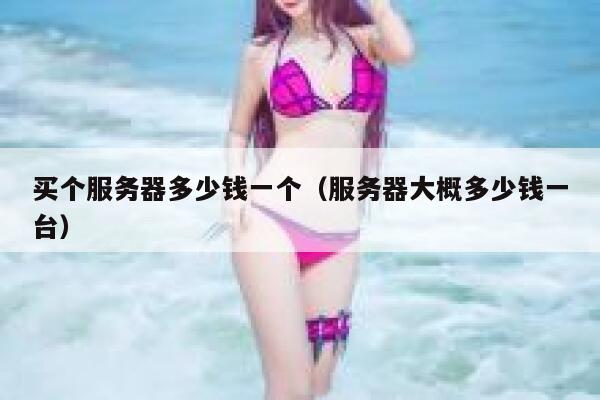 买个服务器多少钱一个（服务器大概多少钱一台） 第1张