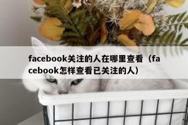 facebook关注的人在哪里查看（facebook怎样查看已关注的人） 第1张