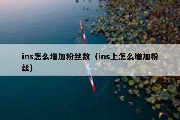 ins怎么增加粉丝数（ins上怎么增加粉丝） 第1张