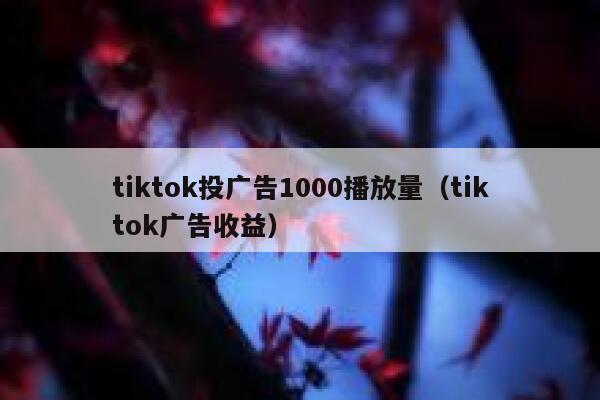 tiktok投广告1000播放量（tiktok广告收益） 第1张
