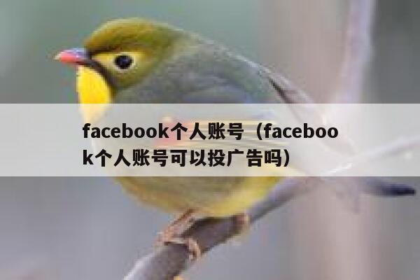 facebook个人账号（facebook个人账号可以投广告吗） 第1张