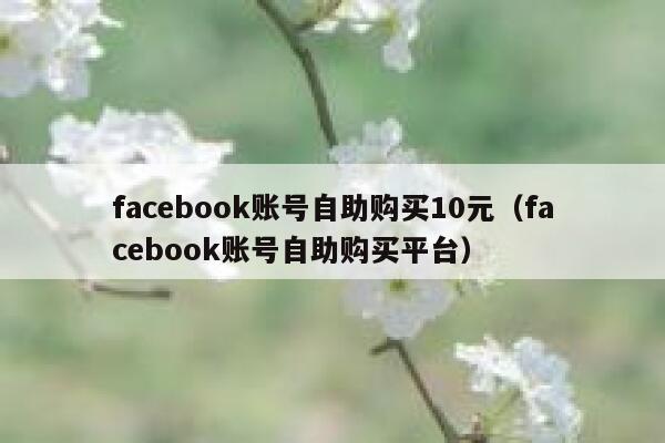 facebook账号自助购买10元（facebook账号自助购买平台） 第1张