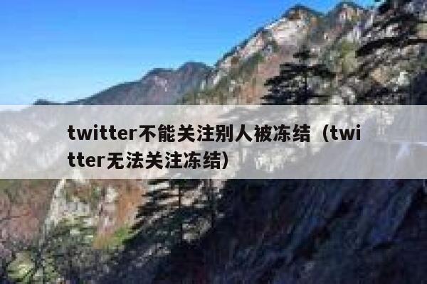 twitter不能关注别人被冻结（twitter无法关注冻结） 第1张