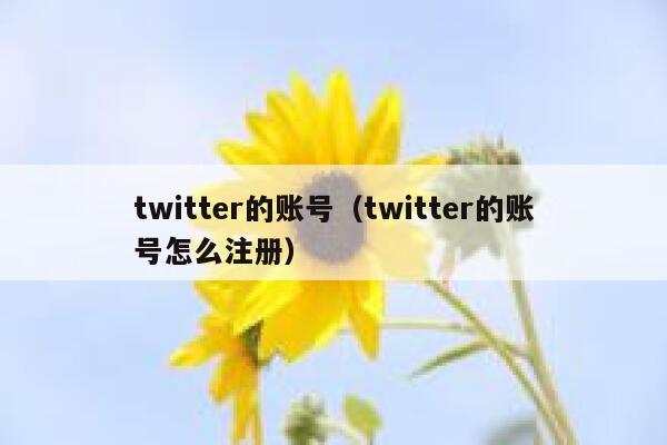 twitter的账号（twitter的账号怎么注册） 第1张