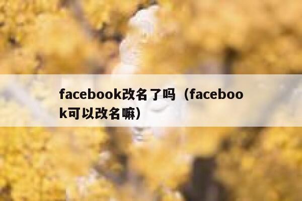 facebook改名了吗（facebook可以改名嘛） 第1张