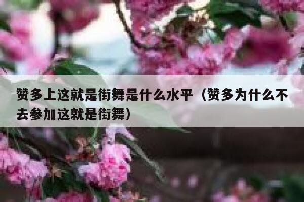 赞多上这就是街舞是什么水平（赞多为什么不去参加这就是街舞） 第1张