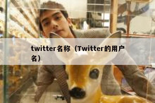 twitter名称(Twitter的用户名) 第1张 twitter名称(Twitter的用户名) 第1张