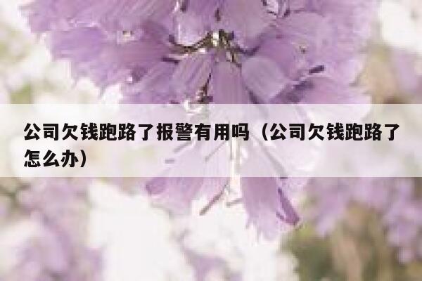 公司欠钱跑路了报警有用吗（公司欠钱跑路了怎么办） 第1张