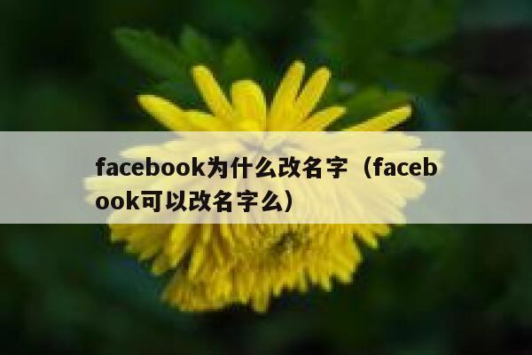 facebook为什么改名字(facebook可以改名字么) 第1张 facebook为什么改名字(facebook可以改名字么) 第1张