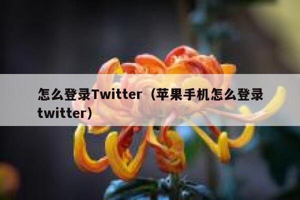 怎么登录Twitter（苹果手机怎么登录twitter） 第1张