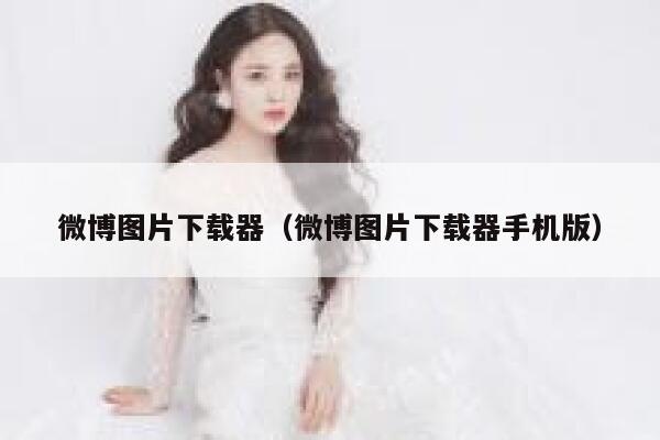 微博图片下载器（微博图片下载器手机版） 第1张