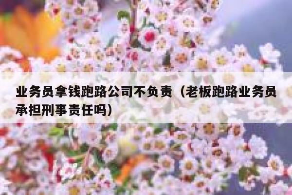 业务员拿钱跑路公司不负责（老板跑路业务员承担刑事责任吗） 第1张