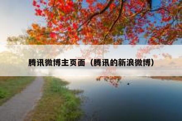 腾讯微博主页面（腾讯的新浪微博） 第1张