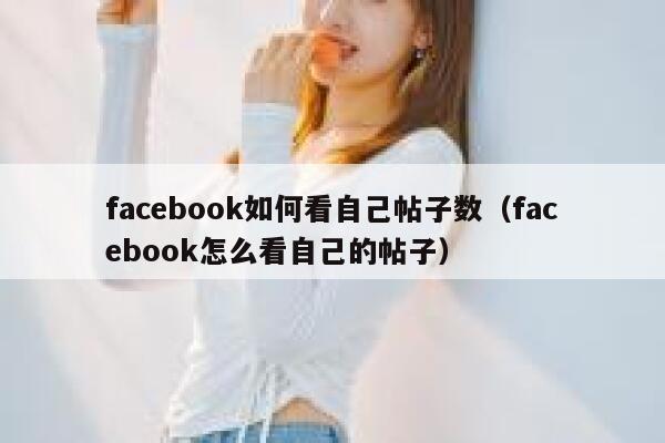 facebook如何看自己帖子数（facebook怎么看自己的帖子） 第1张