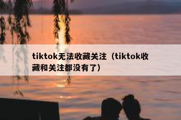 tiktok无法收藏关注（tiktok收藏和关注都没有了） 第1张