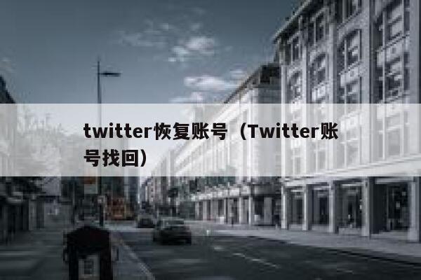 twitter恢复账号（Twitter账号找回） 第1张