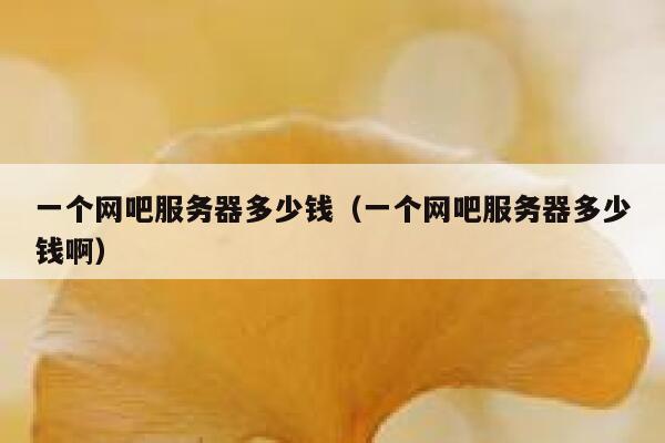 一个网吧服务器多少钱（一个网吧服务器多少钱啊） 第1张
