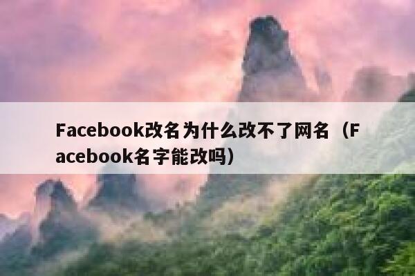 Facebook改名为什么改不了网名（Facebook名字能改吗） 第1张