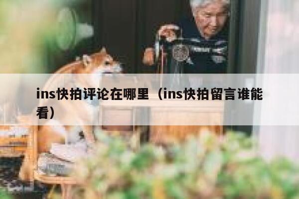 ins快拍评论在哪里(ins快拍留言谁能看) 第1张 ins快拍评论在哪里(ins快拍留言谁能看) 第1张