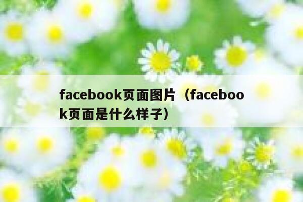 facebook页面图片（facebook页面是什么样子） 第1张