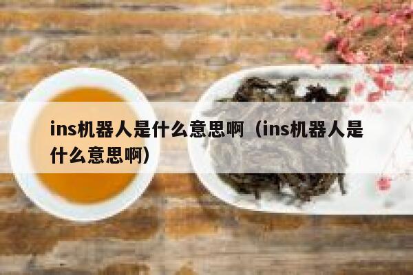 ins机器人是什么意思啊（ins机器人是什么意思啊） 第1张
