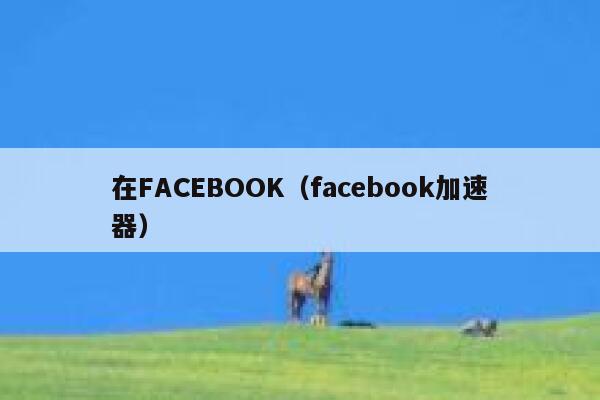 在FACEBOOK（facebook加速器） 第1张