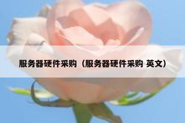 服务器硬件采购（服务器硬件采购 英文） 第1张