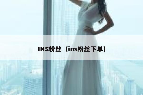 INS粉丝（ins粉丝下单） 第1张