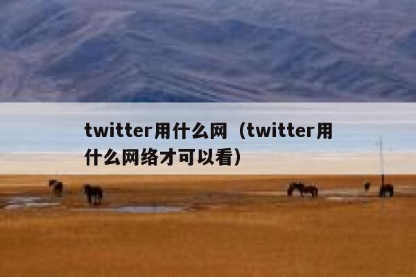 twitter用什么网（twitter用什么网络才可以看） 第1张