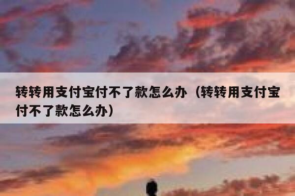 转转用支付宝付不了款怎么办（转转用支付宝付不了款怎么办） 第1张