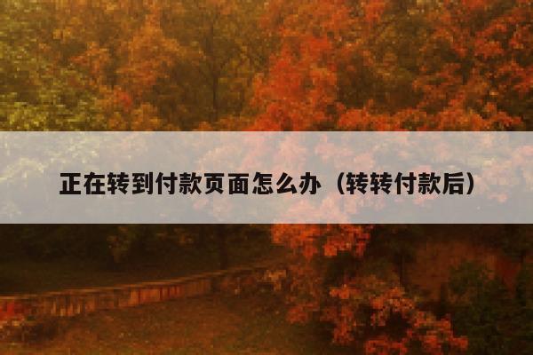 正在转到付款页面怎么办（转转付款后） 第1张