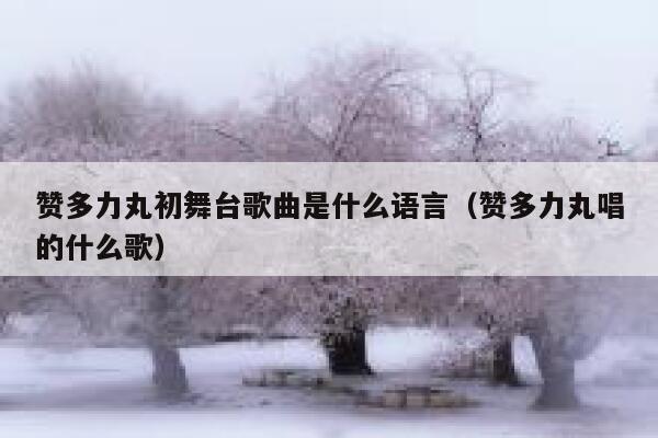 赞多力丸初舞台歌曲是什么语言（赞多力丸唱的什么歌） 第1张