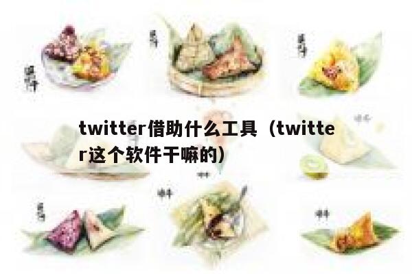 twitter借助什么工具（twitter这个软件干嘛的） 第1张