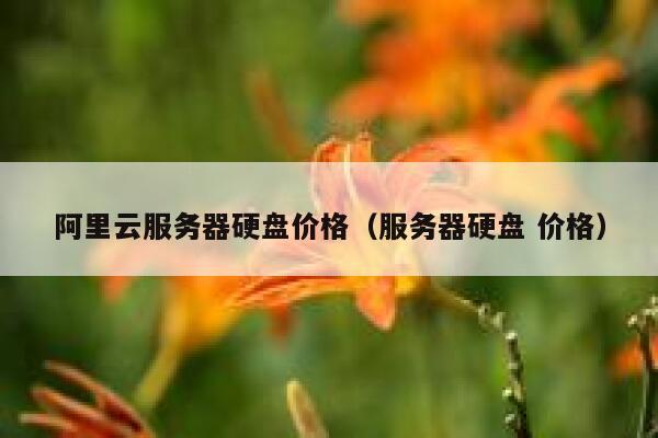 阿里云服务器硬盘价格（服务器硬盘 价格） 第1张