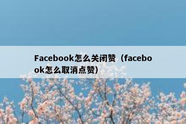 Facebook怎么关闭赞（facebook怎么取消点赞） 第1张