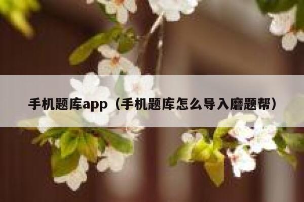 手机题库app（手机题库怎么导入磨题帮） 第1张